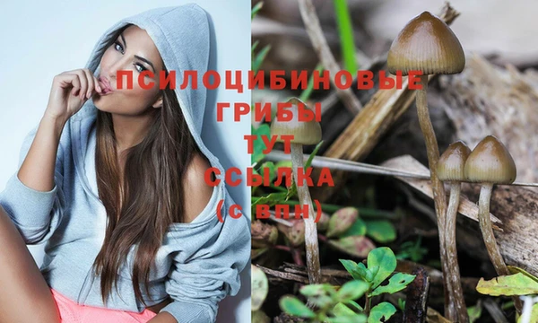 mix Верхний Тагил