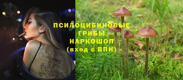 mix Верхний Тагил