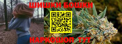 гидра Кингисепп