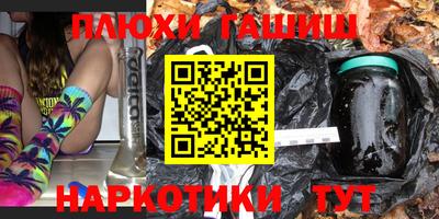 гидра Кингисепп