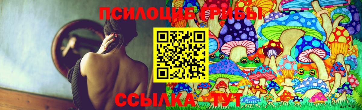 Славянск-на-Кубани  Псилоцибиновые грибы прущие грибы  Вход с VPN 